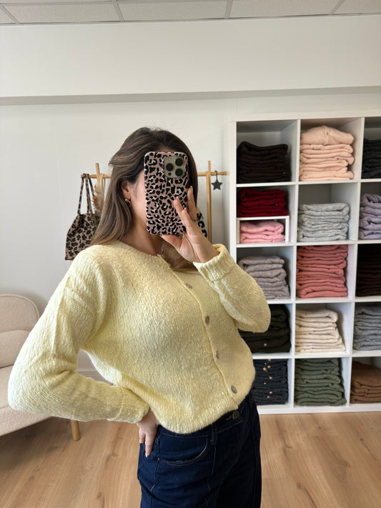 Cardigan en laine Solène